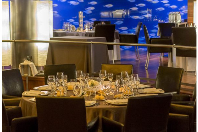 Entrada al Oceanogràfic y Comida en el Restaurante Submarino (Valencia)