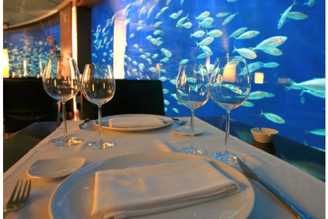 Entrada al Oceanogràfic y Comida en el Restaurante Submarino (Valencia)