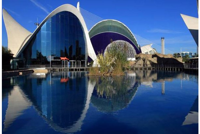 Entrada al Oceanogràfic y Comida en el Restaurante Submarino (Valencia)