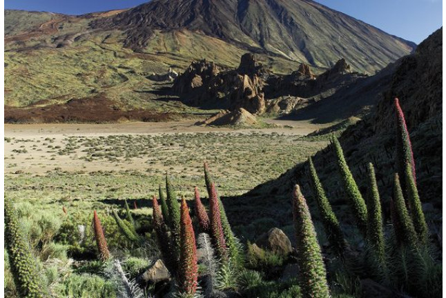 Entradas al Teleférico del Teide y Audioguía (Tenerife)