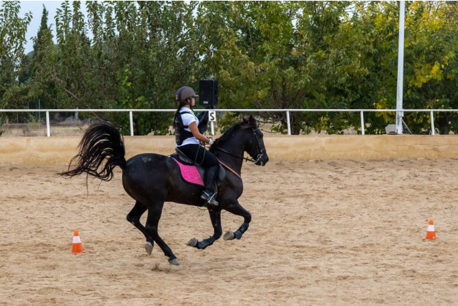 Clase de Equitación en Club Hípico Legend (Villajoyosa, Alicante)