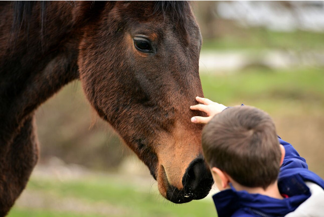 Clases de Equitación en Pony para Niños en La Finca Pony Club (Bétera, Valencia)