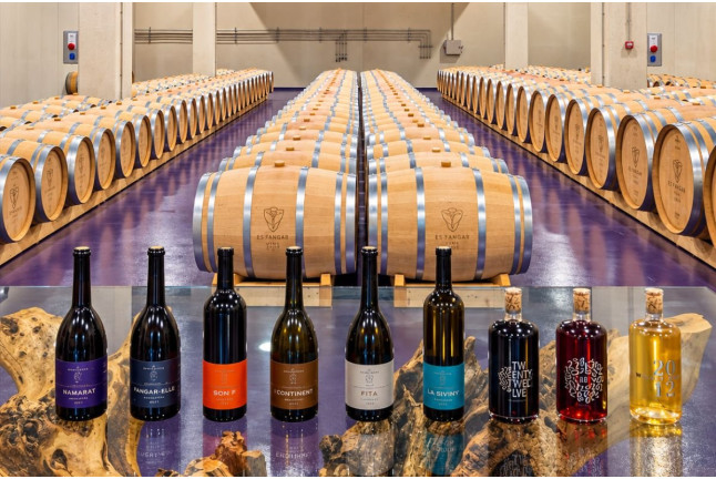 Cata Vertical de Reserva o Gran Reserva en Bodega Es Fangar Vins (Mallorca)