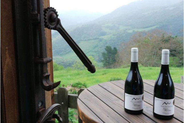 Escapada con Spa en Balneario la Hermida 4* y Visita a Bodega con Cata para dos (Cantabria)