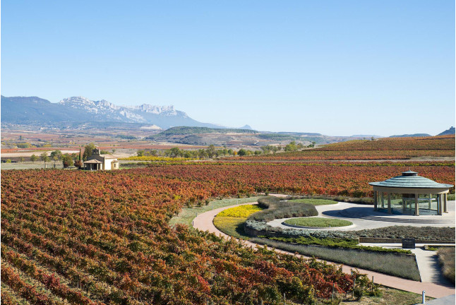 Escapada con Jacuzzi Privado y Visita a Bodega con Degustación para dos (La Rioja)