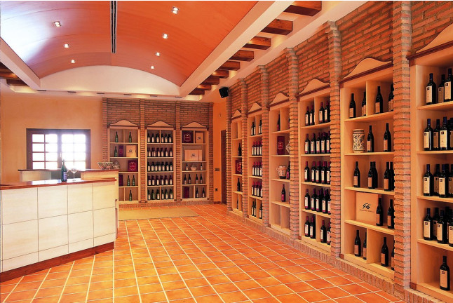 Escapada con Desayuno en U Hotel Villa-Gomá y Visita a Bodega Grandes Vinos con Cata de Vinos para dos (Zaragoza)