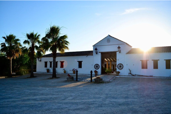 Escapada con Almuerzo o Cena en el Cortijo Mesa de la Plata (Arcos de la Frontera, Cádiz)