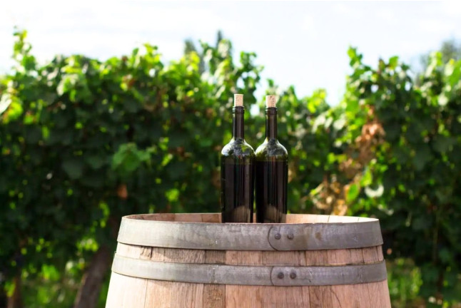 Escapada Enológica: Noche con Spa en Hotel Dolce by Wyndham 4* Sup y Visita a Bodega y Cata de Vino para dos (Barcelona)