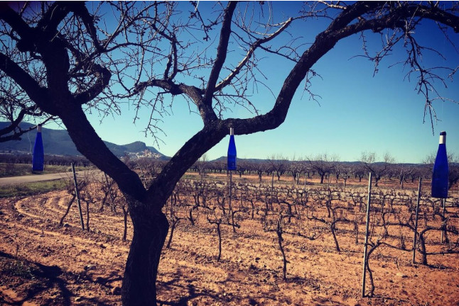 Escapada Enológica de 2 Noches con Visita a Bodegas Mayo Garcia para dos (Castellón)