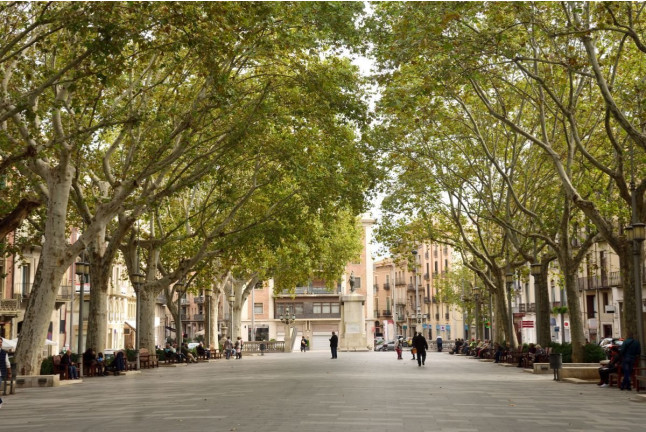 Escapada con Jacuzzi y Cena en Aparthotel Casa Fages (Figueres, Girona)