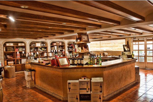 Escapada con Wellness & Beauty Center en Hotel Bonalba Alicante 4*S y Visita a Bodega con Cata de Vinos y Tapa para dos (Alicante)