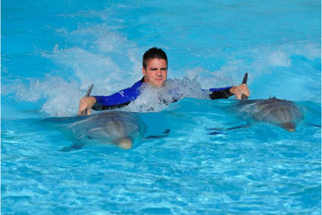 Dolphin Emotions Premium: Nadar con Delfines y Entrada a Zoomarine (Portugal)