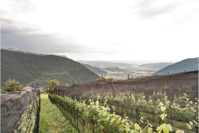 Escapada en Balneario de Panticosa 4* y Visita a Bodegas Bal Minuta con Cata de Vino para dos (Huesca)