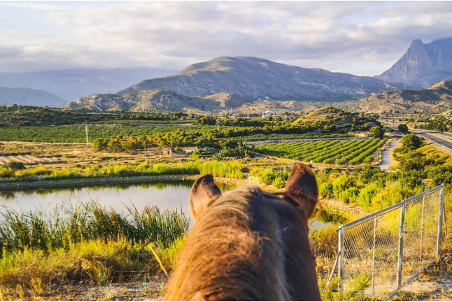 Escapada con Piscina y Jacuzzi en Apartamentos Oasis de la Cala con Paseo a Caballo para dos por la Montaña con Vistas al Mar (Alicante)