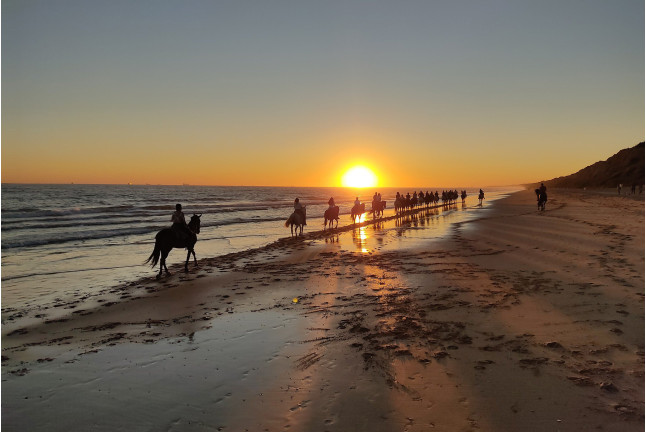 Escapada con Desayuno en Hostal Santa con Paseo a Caballo al Atardecer por las Playas de Doñana (Huelva)