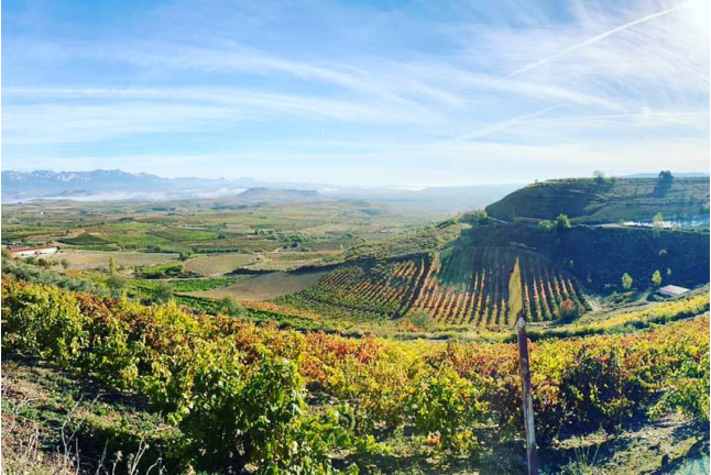 Escapada Romántica con Visita a Bodega (La Rioja)