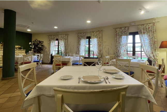Escapada Rural con Cena en Hotel Palacio las Manillas 3* (Sabiote, Jaén)