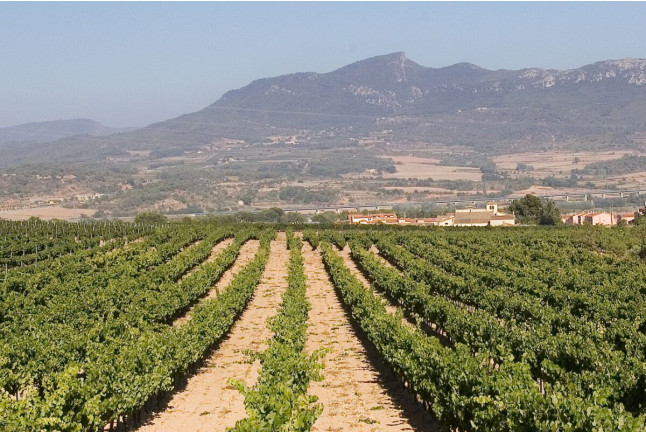 Escapada con Spa en el Iberik Rocallaura Balneari 4* y Visita al Celler Mas Foraster (Lleida y Tarragona)