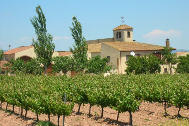 Escapada con Spa en el Iberik Rocallaura Balneari 4* y Visita al Celler Mas Foraster (Lleida y Tarragona)