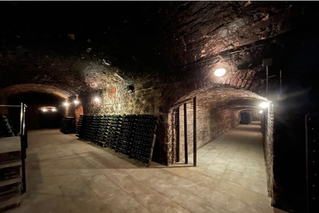 Escapada en Hotel Can Alemany y Visita a Bodega y Viña con Cata en Caves Bohigas (Barcelona)