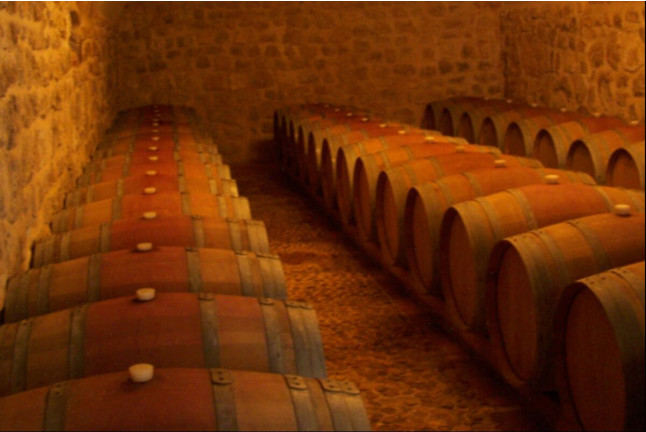Escapada con Encanto y Visita a Bodega en Pago de Trascasas Hotel Rural (Valladolid)
