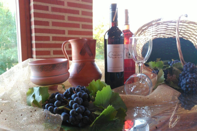 Escapada con Encanto y Visita a Bodega en Pago de Trascasas Hotel Rural (Valladolid)