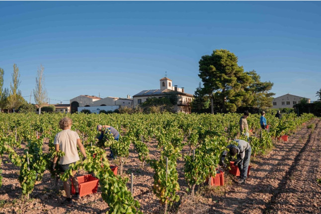 Escapada en Casa Miret y Visita al Celler Mas Foraster con Cata de Vinos para dos (Tarragona)