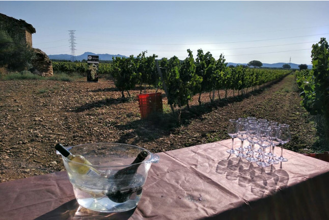 Escape Room en Cellers Blanch y Cata de Vinos (Puigpelat, Tarragona)