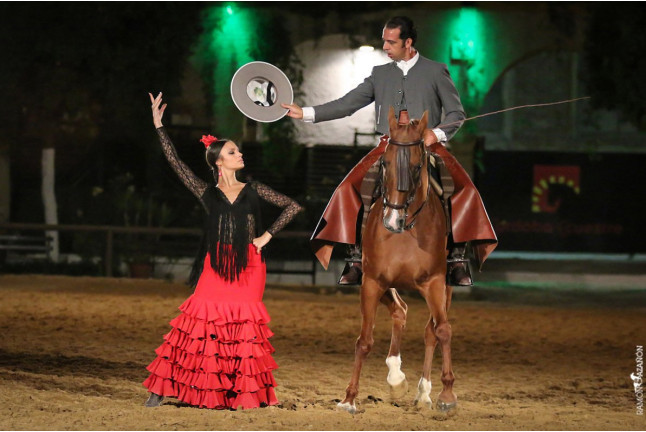 Entradas para el Espectáculo Pasión y Duende del Caballo Andaluz en Córdoba Ecuestre (Córdoba)