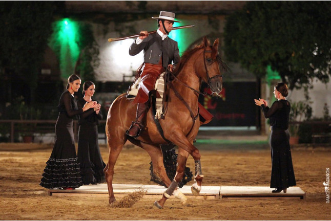 Entradas para el Espectáculo Pasión y Duende del Caballo Andaluz en Córdoba Ecuestre (Córdoba)