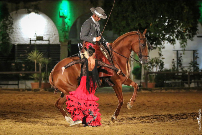Entradas para el Espectáculo Pasión y Duende del Caballo Andaluz en Córdoba Ecuestre (Córdoba)