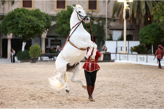 Entradas para el Espectáculo Pasión y Duende del Caballo Andaluz en Córdoba Ecuestre (Córdoba)