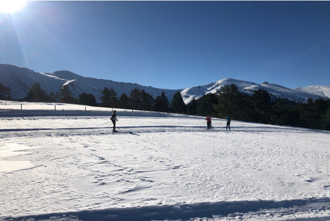 Curso de Esquí de Fondo en Puerto de Cotos (Madrid)
