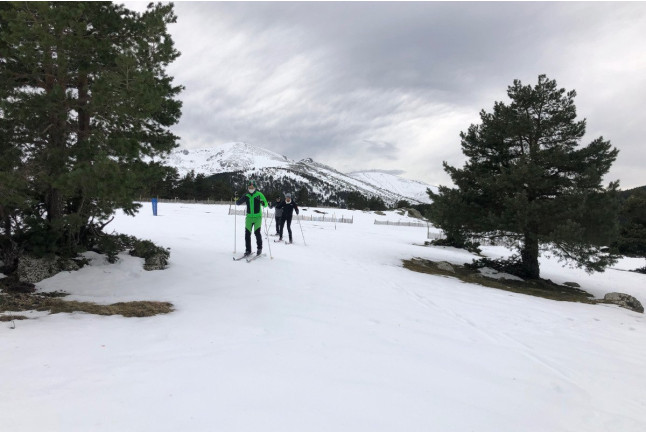 Curso de Esquí de Fondo en Puerto de Cotos (Madrid)