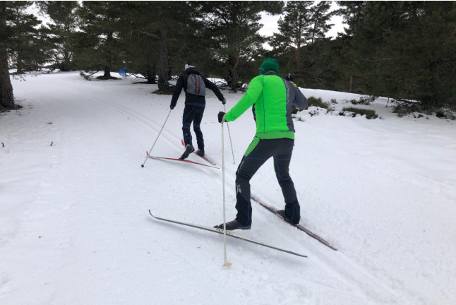 Curso de Esquí de Fondo en Puerto de Cotos (Madrid)