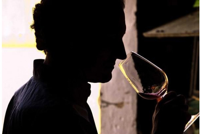 Escapada con Visita a Bodega y Cata de Vinos en Bodega Vera de Estenas (Utiel, Valencia)