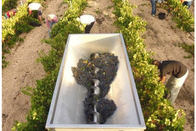 Escapada con Visita a Bodega y Cata de Vinos en Bodega Vera de Estenas (Utiel, Valencia)