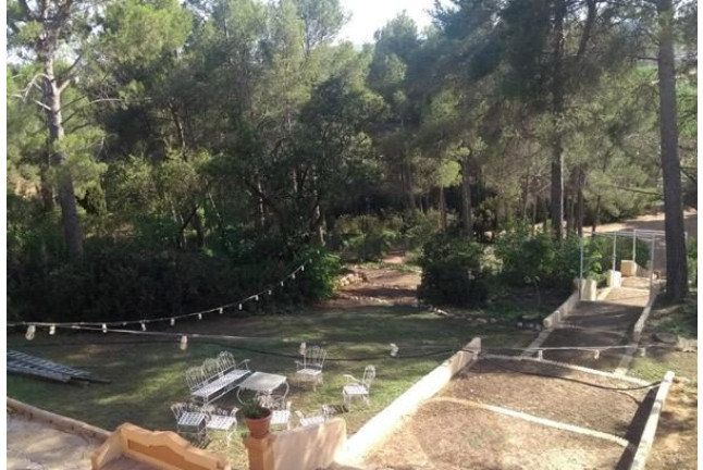 Escapada con Visita a Bodega y Cata de Vinos en Bodega Vera de Estenas (Utiel, Valencia)