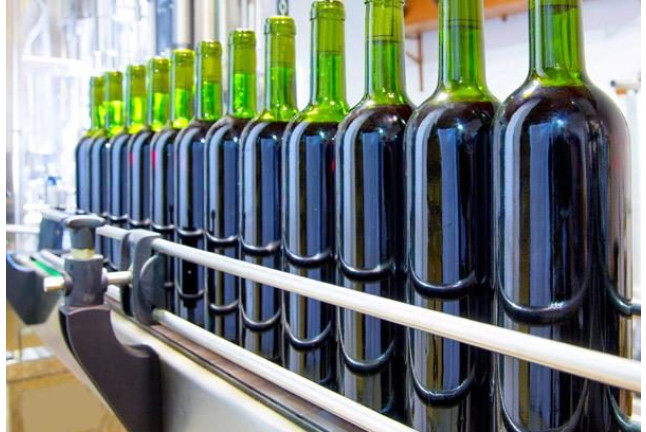 Escapada con Visita a Bodega y Cata de Vinos en Bodega Vera de Estenas (Utiel, Valencia)