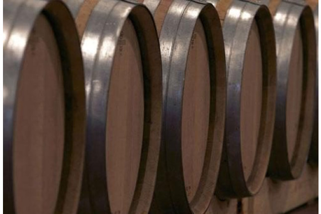 Escapada Enológica: Noche en Villas Gallart y Visita a Bodega Mas Blanch i Jové (Lleida)