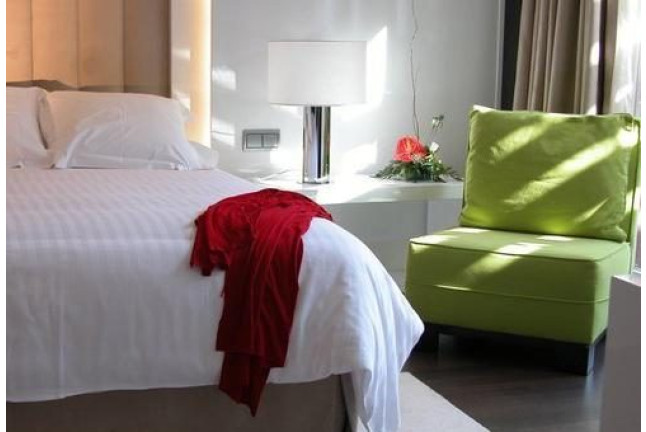 Escapada Relax con Spa en Hotel Palacio Albacete & Spa 4* y Visita a Bodega con Cata (Albacete)