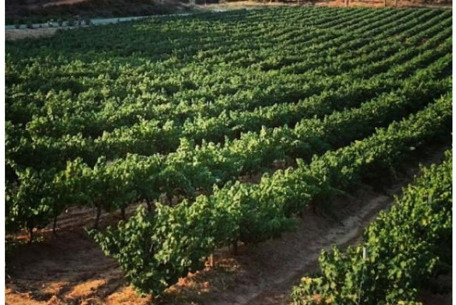 Escapada Romántica con Cena en Hotel La Era de Aracena 3* y Visita a Bodega con Cata de Vinos (Huelva)