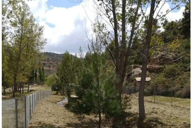 Escapada Rural con Cena en Hostería la Barbacana (Tramacastiel, Teruel)