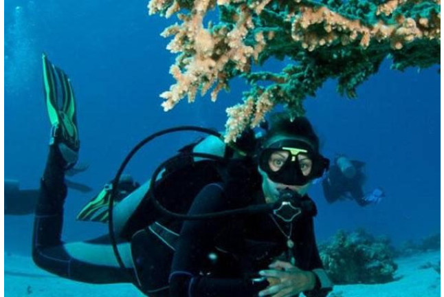 Escapada con Spa "Aquatonic" en Hotel Termes de Montbrió 4* y Bautismo de Buceo en L'Ametlla de Mar (Tarragona)