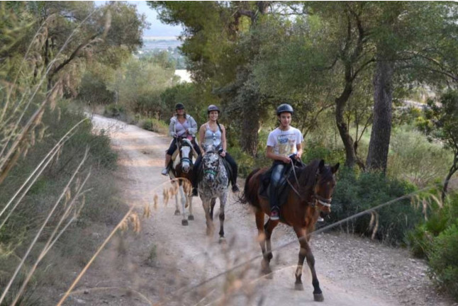 Excursión a Caballo (Mallorca)