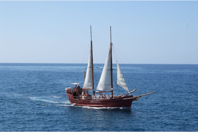 Excursión en Barco, Avistamiento de Cetáceos y Parada para Baño (Tenerife)