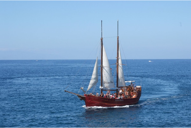 Excursión en Barco, Avistamiento de Cetáceos y Parada para Baño (Tenerife)