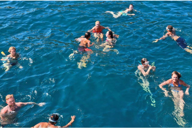 Excursión en Barco a Isla Dragonera (Mallorca)