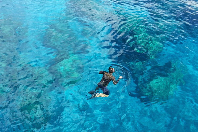 Excursión en Barco con Snorkel, Fotos y Vídeos para Visitar Lenguas de Lava Sumergidas (La Caleta de Adeje, Tenerife)