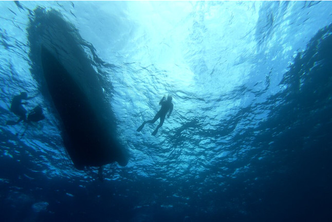 Excursión en Barco con Snorkel, Fotos y Vídeos para Visitar Lenguas de Lava Sumergidas (La Caleta de Adeje, Tenerife)